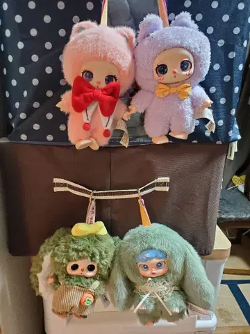 베이비 쓰리 리라 노시 4체 세트