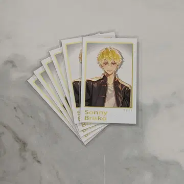 니지산지 상하이 공연 폴라로이드 서니 6