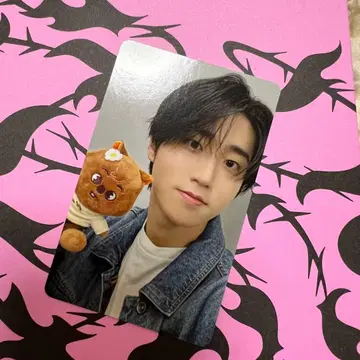 Stray Kids 한 DO IT ZOOTOPIA 2 SKZOO