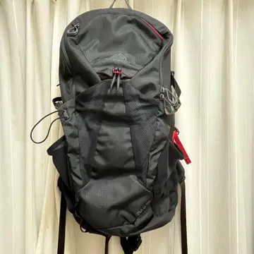 GREGORY 백팩 30L M/L 블랙