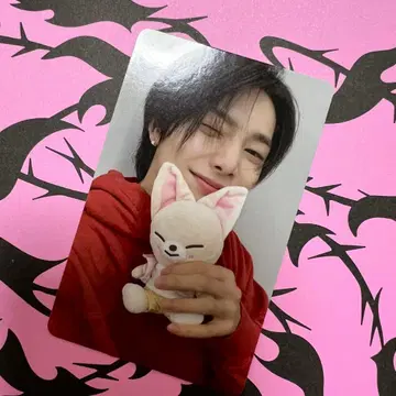 Stray Kids 아이엔 DO IT ZOOTOPIA2 SKZOO