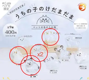 우리 아이 털뭉치 강아지 5세트