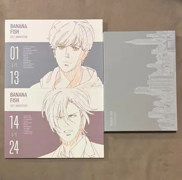 초판 Banana Fish 원화집