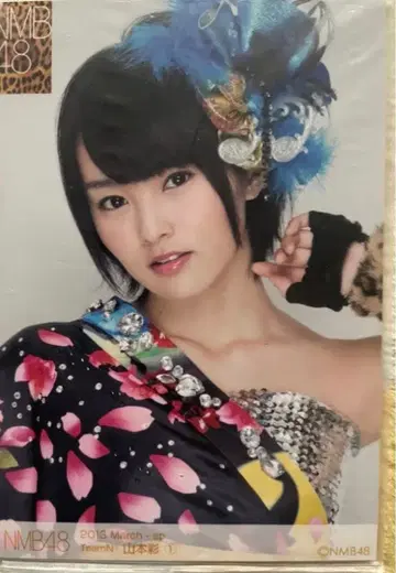 야마모토 사야카 생사진 4세트