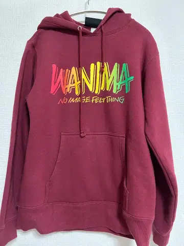 [가격 인하! 연말연시 발송 가능] WANIMA 투어 후드티 M 사이즈