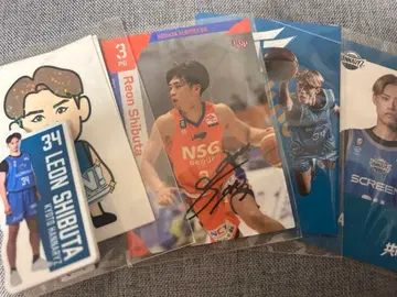 시부타 레이온 선수 사인 포함 카드 4장 세트