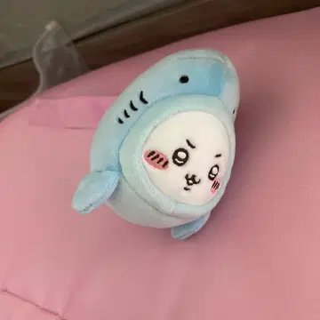 치이카와 수족관 상어 치이카와