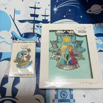 홍콩 디즈니 매직 액세스 기념 메달 안나 겨울왕국 연간 패스