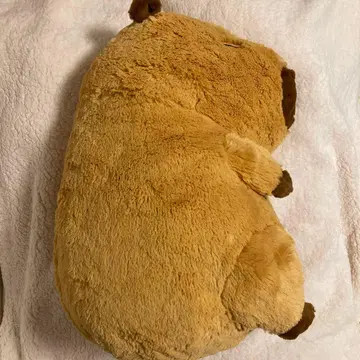 정말 큰! 카피바라 씨 봉제 인형