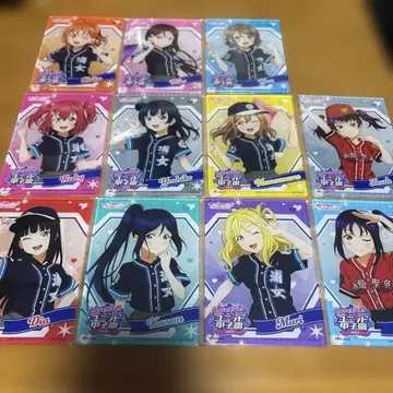 유닛 코시엔 소프맵 애니메가 구매 혜택