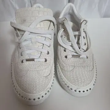 JIMMY CHOO 크로커다일 패턴 화이트 스니커즈