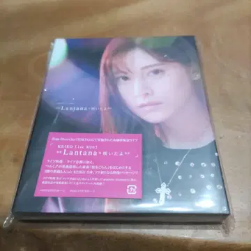 KEIKO/KEIKO Live K002 Lantana*피었습니다**