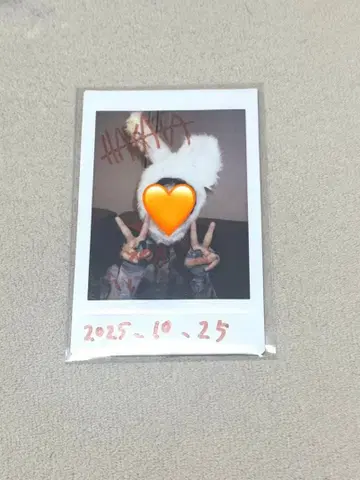 바토보 타무라 소다이 쇼룸 폴라로이드