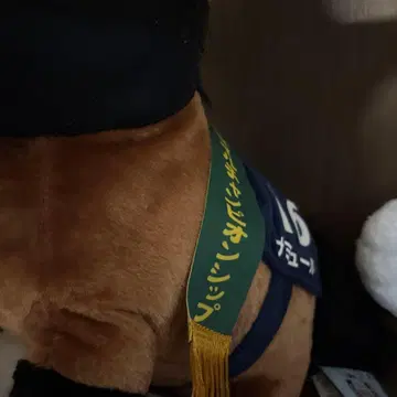 모자 달린 브라운 봉제 인형