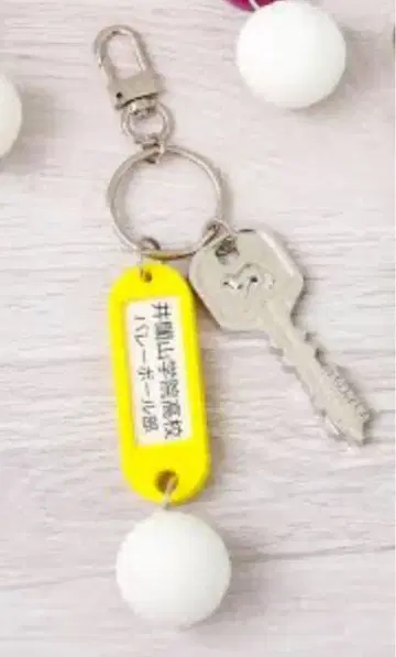 하이큐!! 트레이딩 고교명 포함 열쇠 참 키링 이타치야마 학원 고등학교