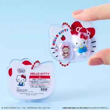 산리오 패키지 참 헬로키티