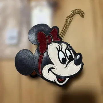 디즈니 미니 액세서리 파우치 참