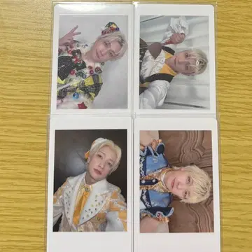 팬더드래곤 요타 하피카 13