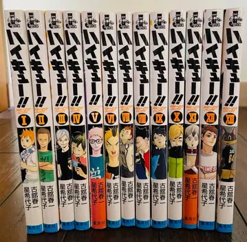 하이큐!! 소설판 전 13권 + 극장판 쓰레기장의 결전 (소설)