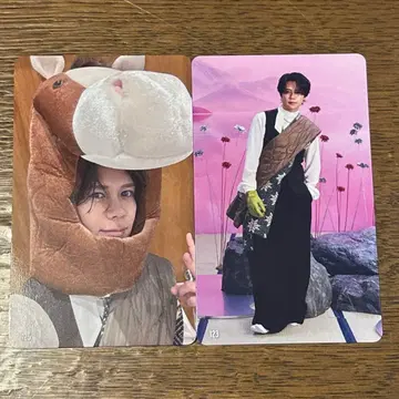 후지마키 쿄스케 팝업 트레이딩 카드