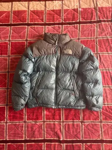 THE NORTH FACE 다운 자켓 그레이/파랑