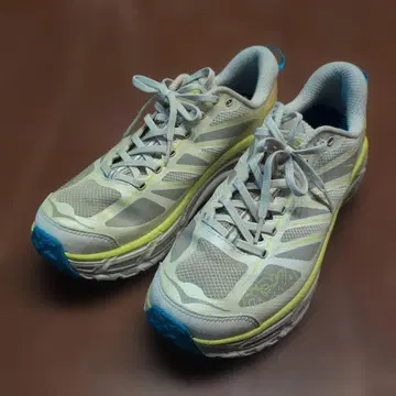레어 컬러 HOKA ONEONE 호카 MAFATE SPEED 2 29cm