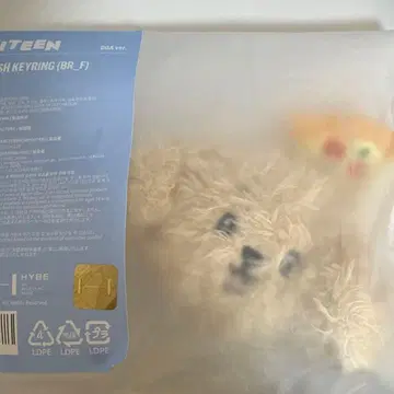 세븐틴 미니틴 페이스 키링 도겸 도어