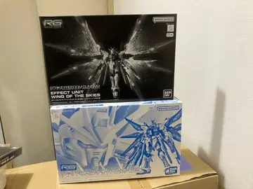 RG 세트 프리덤 디스티니 건담 [티타늄 피니쉬]