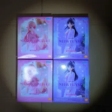 위치워치 Yumemirize 와카츠키 니코 2개, 미야오 오토메 2개