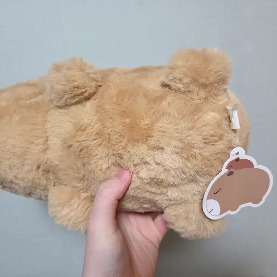 Capybara doll, Eopibara, birthday gift, funny gift on Bunjang Global Site., image size:900x900