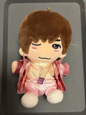 타카하시 쿄헤이 치비 누이