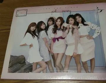Apink Pink Memory 앨범