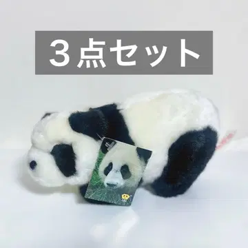 팬더 묶음 판매 봉제 인형 시로쿠마 카페 캔뱃지 총 3점 세트