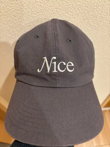 NICE WEATHER 나이스웨더 그레이 캡