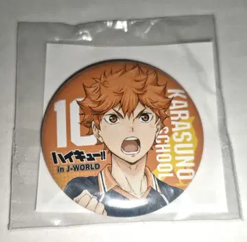 하이큐!! 히나타 쇼요 44mm 캔뱃지 j-world