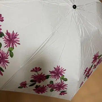 시빌라 접이식 우산