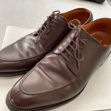 HIROKAWA SCOTCH GRAIN 다크 브라운 신발