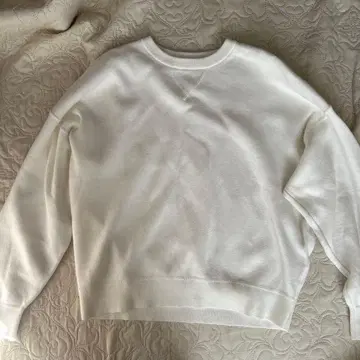 UNIQLO : C 유니클로 스무스 코튼 크루넥 스웨터