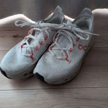 On Cloudsurfer MAX 25.0cm