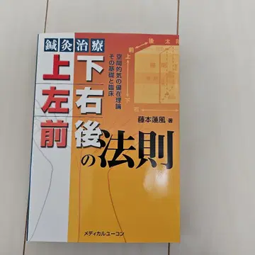 침구 치료 상하 좌우 전후의 법칙 공간적 기의 편재 이론 그 기초와 임상
