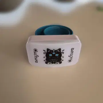 Eve 라이트밴드 culture