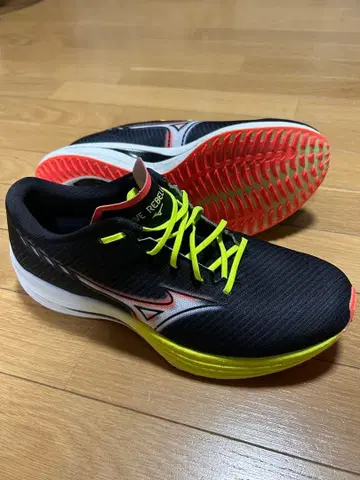 Mizuno Wave Rebellion 27.0cm
