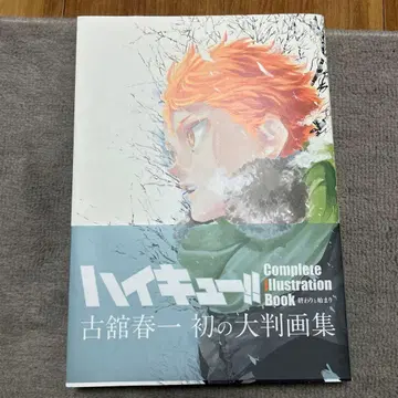 하이큐!! Complete Illustration book