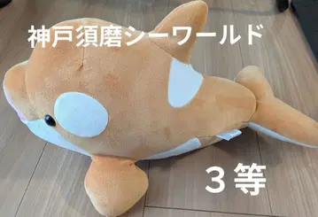 고베 스마 시월드 시나몬 컬러 범고래 복권 3등