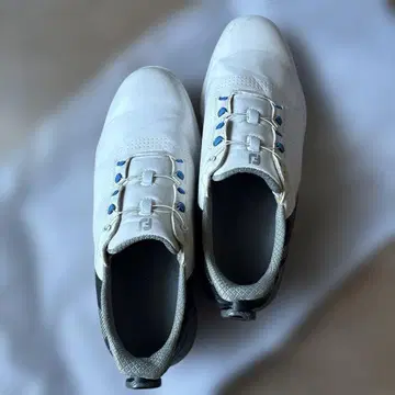 FootJoy 골프화 화이트