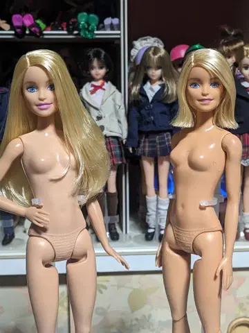 바비 인형 밀리 2체 본체 커스텀