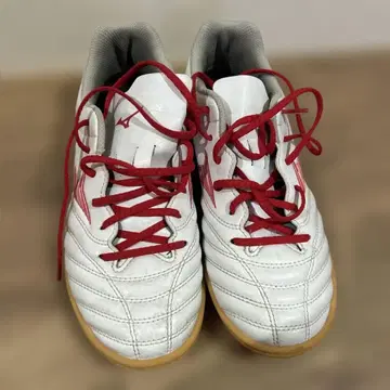 미즈노 모나르시다 네오 풋살화 23.5cm 끈은 제로 글라이드