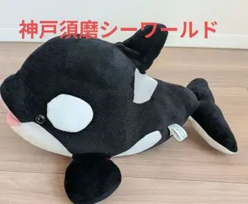 고베 스마 월드 범고래 봉제 인형