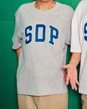 스차다라파 챔피온 카니발 한정 컬러 GAP T셔츠 XL