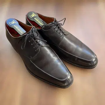 SCOTCH GRAIN 레어 U팁 25.5